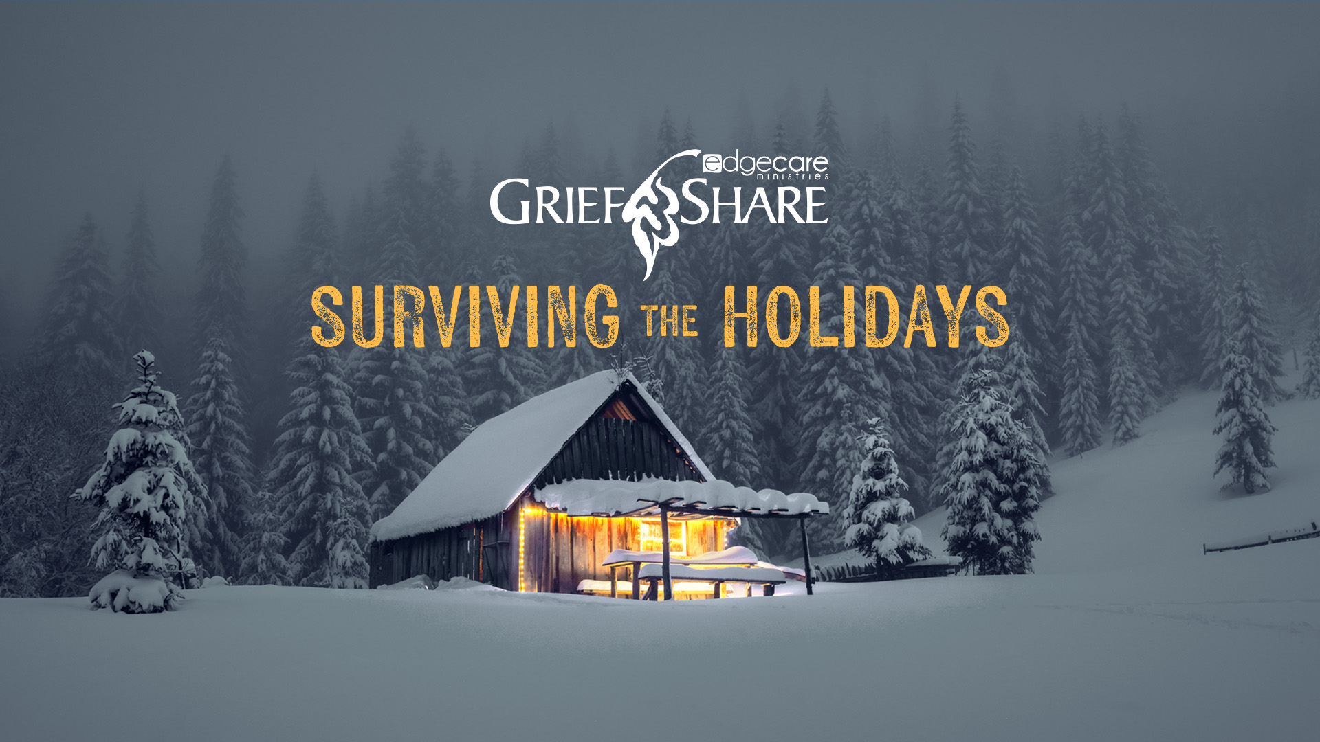 Surviving the Holidays