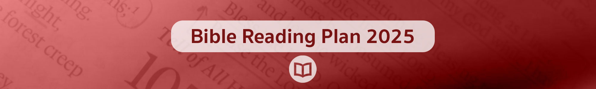 Bible Reading Plan